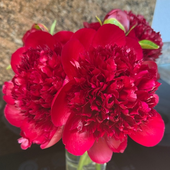 flymejenny01